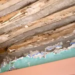 Krem Alaçatı