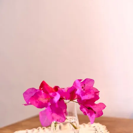 Séjour chez l'habitant Krem Alaçatı