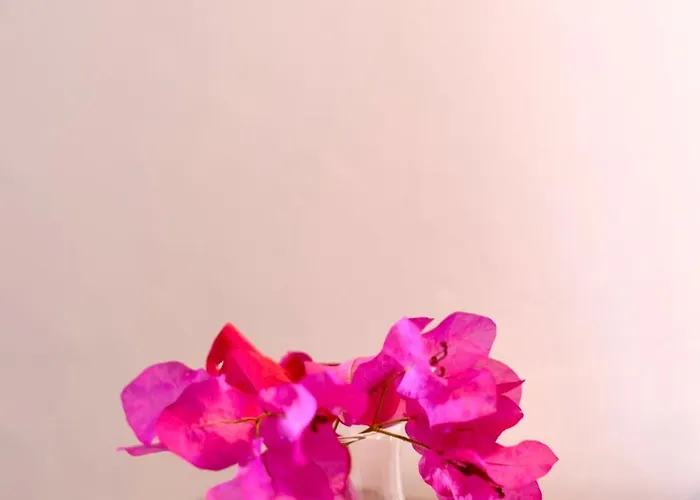 ホームステイ Krem アラカティ