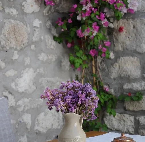 ホームステイ Krem アラカティ